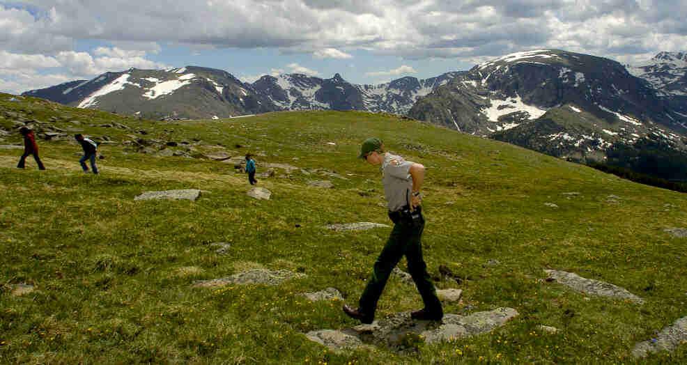 Beatrice Willard Alpine Tundra Research Plots Colorado Encyclopedia